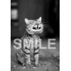 Smile - Textos - 