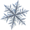 Snow crystal - Priroda - 