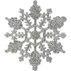 Snowflake - 自然 - 