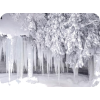 Snow ice cycles - Natura - 