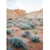 Southwest Background - Natureza - 