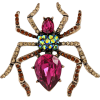 Spider Brooch - Illustrazioni - 