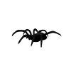 Spider - Tiere - 