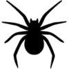 Spider - Illustrations - 