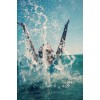 Splash - My photos - 