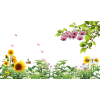 Spring Time Flowers - Narava - 