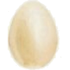 Spring Egg - Rascunhos - 