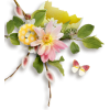 Spring Floral Graphic - Natureza - 