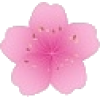Spring Flower - Uncategorized - 