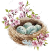 Spring Nest - イラスト - 