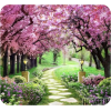 Spring - Natureza - 