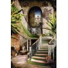 Staircase and greenery - Zgradbe - 