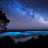 Star Night landscape - Natur - 