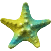 Starfish - Животные - 