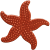 Starfish - Animais - 