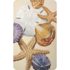 Starfish - Ilustracije - 