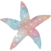 Starfish - イラスト - 
