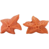 Starfish - Ilustracje - 