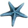 Starfish - Предметы - 