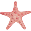 Starfish - 小物 - 