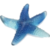 Starfish - Objectos - 