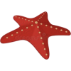 Starfish - Predmeti - 