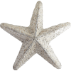 Starfish - Остальное - 