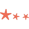 Starfish - Uncategorized - 