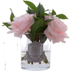 Stems - Plantas - 