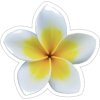 Sticker Flowers - Rascunhos - 