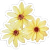 Sticker Flowers - Besedila - 