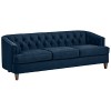 Stone & Beam Leila Tufted Sofa, 88 - Furniture - $1,099.00 