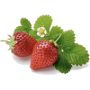 Strawberries - フルーツ - 
