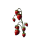 Strawberries - Natural - 