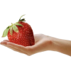 Strawberries - People - 