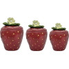 Strawberry Canister - Objectos - 