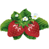 Strawberry - Ilustrationen - 