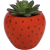 Strawberry planter - Rośliny - 