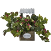 Strawberry planter - Piante - 