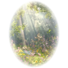 Sun Effects Trees - Background - 