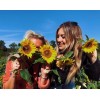 Sunflower Girls - Uncategorized - 