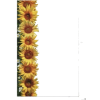 Sunflower - Рамки - 