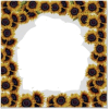Sunflower - Okvirji - 