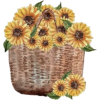 Sunflower - Illustrations - 