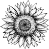 Sunflower - Plantas - 