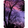 Sunset - Natureza - 