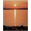 Sunset - Nature - 