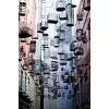 Sydney Australia street - Zgradbe - 