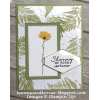 Sympathy Card - Ozadje - 