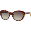 T_hilfiger 1084/S 0WFS Light Havana (ED brown gradient lens) - Sunglasses - $130.91 